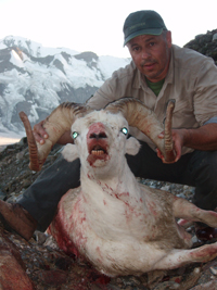 Gordon Day 33" Delta Controlled Use Area Ram